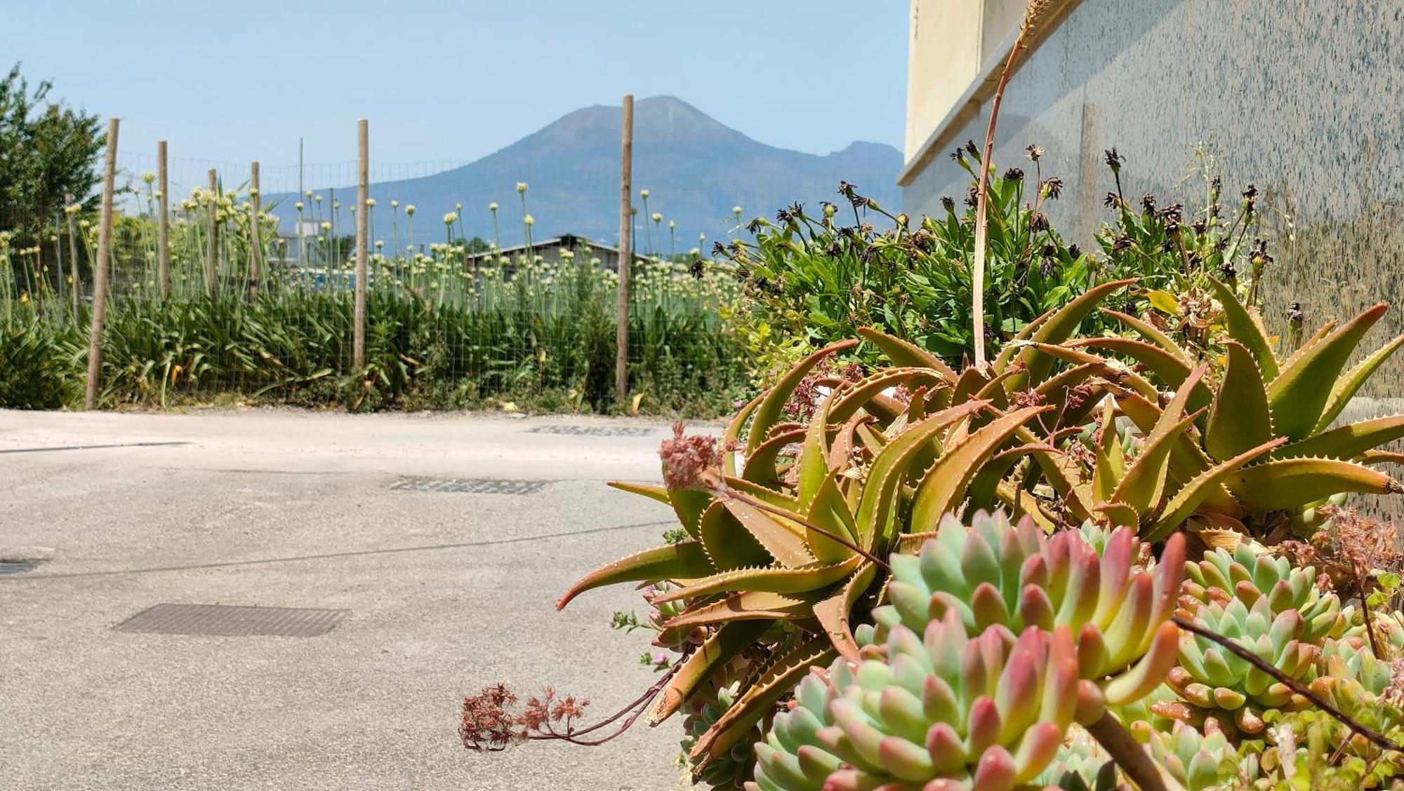 Apartamento Lilla Housing Castellammare di Stabia Exterior foto