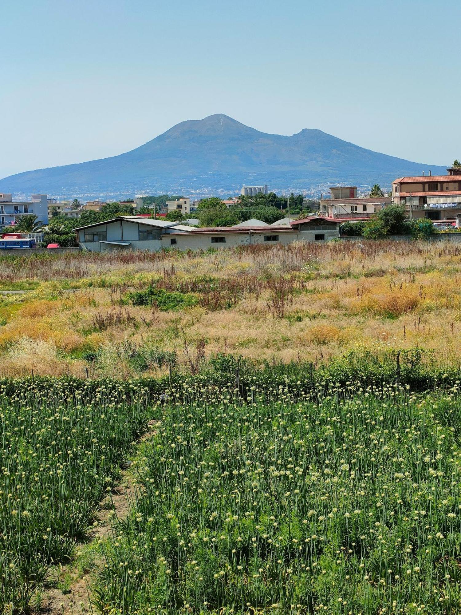 Apartamento Lilla Housing Castellammare di Stabia Exterior foto
